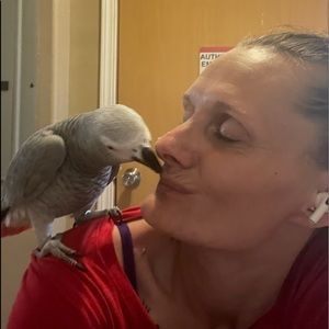 Meet your Posher, Christina